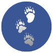 Animals Icon